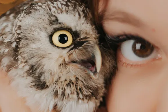 Casino B Bets Soporte